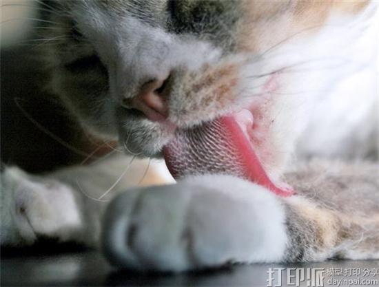 研究人员3D打印猫舌模拟物 以研究其在软体机器人开发中的应用.jpg