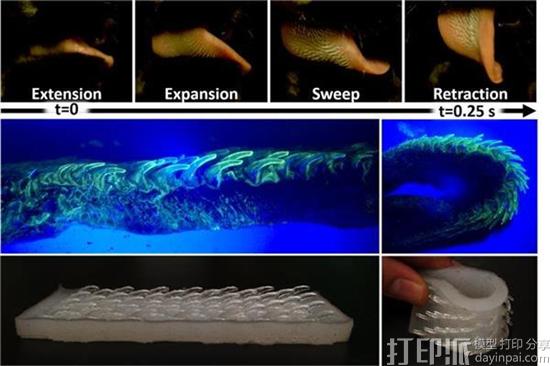 3d-printed-cat-tongue-mimic-could-have-applications-soft-robotics-industry-2.jpg