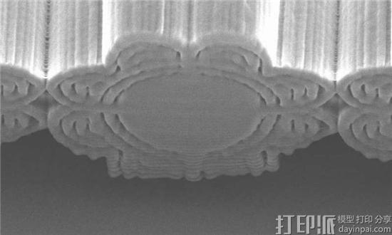 2-microscopica.jpg