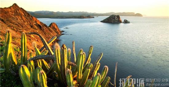 Senita-Cacti-Growing-on-Isla-Datil-Sonora-Via-history.com_-1024x532.jpg