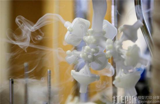 捷克研究人员借3D打印技术研发出功能齐全的肺部模型.jpg