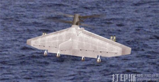 NGC-TERN-2.jpg