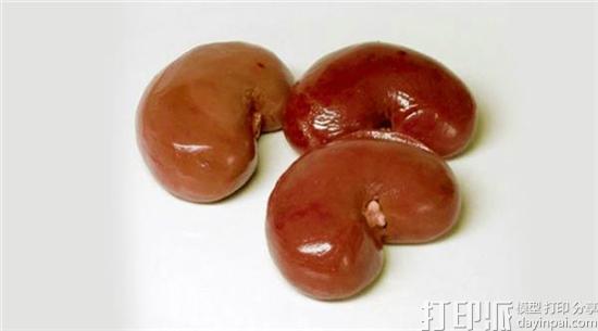 德国Sartorius获得一次性生物3D打印机专利 可3D打印无菌的器官模型