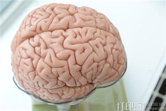 英国阿斯顿大学研究用纳米3D打印技术制作人类大脑神经元