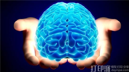 英国Aston大学获330万欧元资金以研发3D打印大脑神经网络