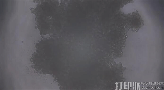悉尼研究所开发出能修复受损心脏细胞的3D打印组织
