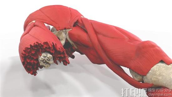 图片血腥！ 3D打印帮助威尔士教授为军事外科医生开发出创伤模拟器