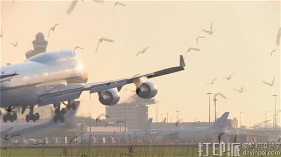 荷兰公司开发的3D打印机场鸟类驱逐无人机Robirds将进军美国市场