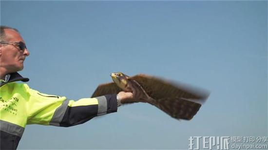 荷兰公司开发的3D打印机场鸟类驱逐无人机Robirds将进军美国市场