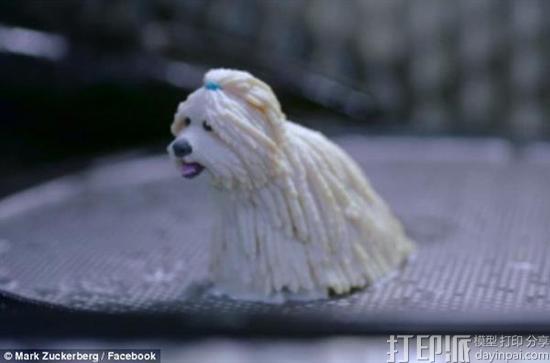 Facebook CEO扎克伯格赠爱宠3D打印逼真塑像作为生日礼物