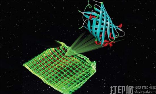德国研究人员借发光蛋白和3D打印技术开发出低成本设备屏幕