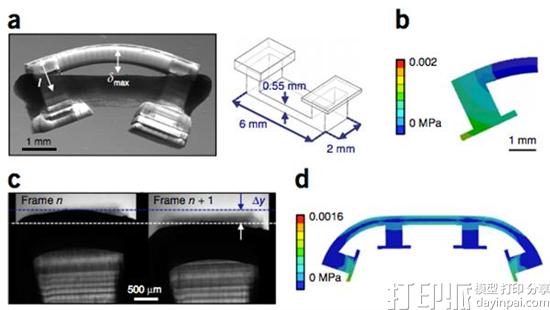 伊利诺伊大学研究团队公布3D打印生物机器人制作指南