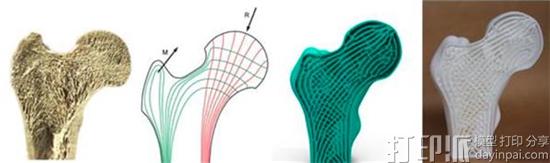 研究人员通过模仿天然骨组织优化3D打印填充结构