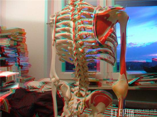 日本研发出新型可3D打印的盐基墨水 能3D打印出更逼真骨骼模型