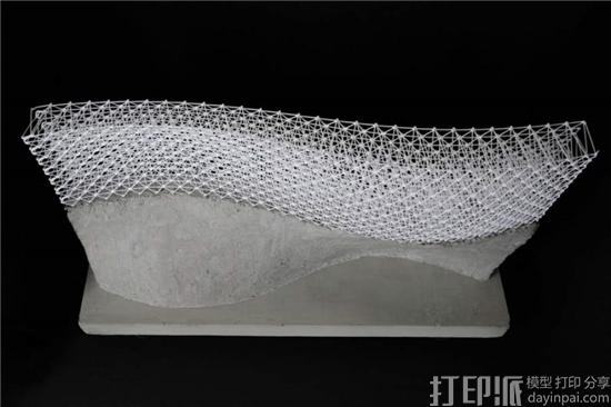 美国科学促进会AAAS 2017会议将3D打印建筑作为讨论重点