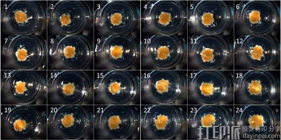 Organovo成功3D打印出微静脉结构 有助于肾病药物的测试与研发