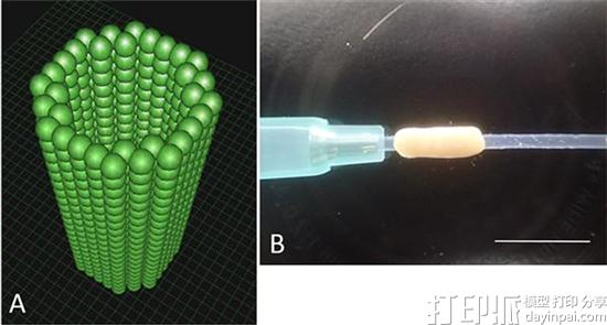 日本京都大学研发出可促进神经细胞再生的生物3D打印导管
