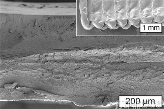 麻省理工学院开发出适用于3D打印的乙酸纤维素材料