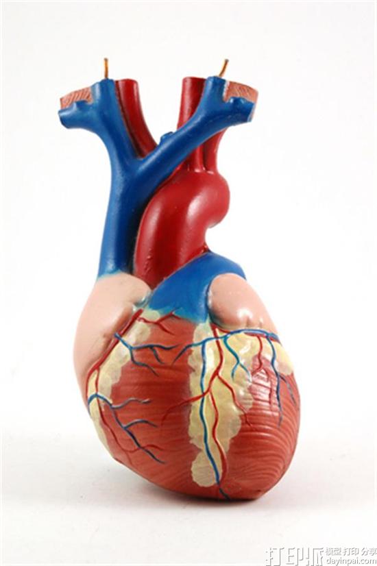 马德里医院成功在3D打印心脏中模拟了导管插入术