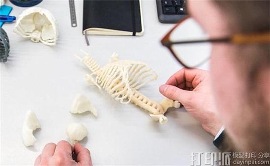 荷兰科学家开发出逼真的3D打印婴儿模型 以帮助培训医生