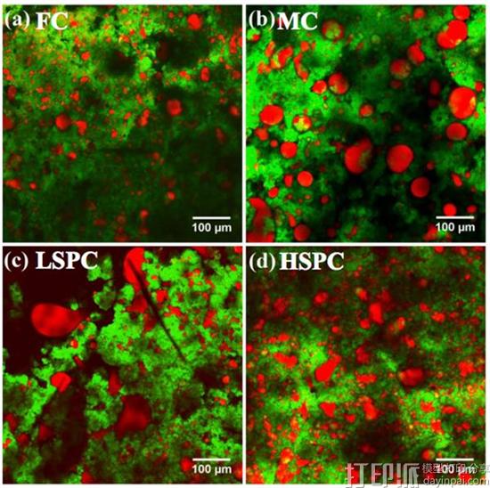 3D打印奶酪安全、美味吗？ 爱尔兰研究人员告诉你答案
