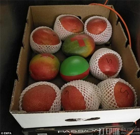 瑞士研究人员开发出带温度传感器的3D打印复制水果 用于测试水果新鲜度