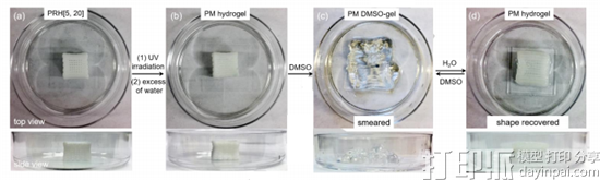 科学家3D打印出超强4D智能材料 可举起比自身重15倍的物体
