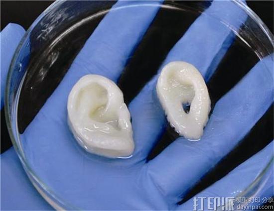 3D打印器官在技术层面上还有哪些难关要攻克？