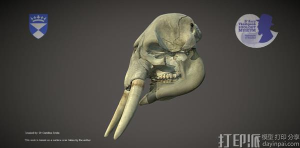 苏格兰邓迪大学创建在线的动物3D模型博物馆 超过25个国家可以访问