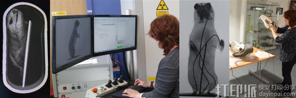 苏格兰邓迪大学创建在线的动物3D模型博物馆 超过25个国家可以访问