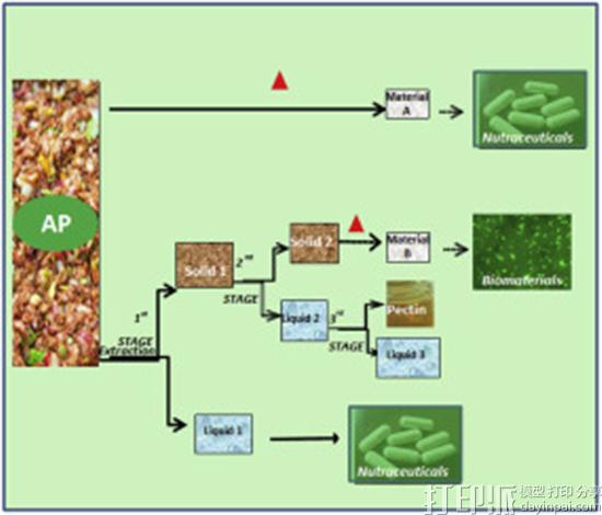 研究人员从苹果渣中提取生物材料 为组织再生制造3D基质