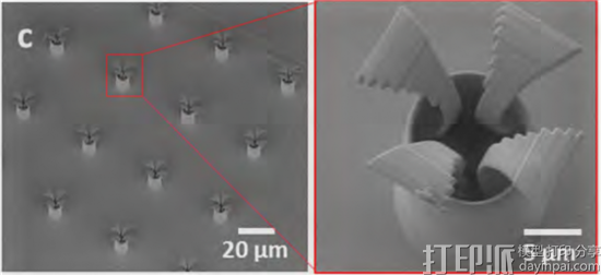脑洞大开！ 研究人员开发出可引导精子去治疗妇科癌症的3D打印微管