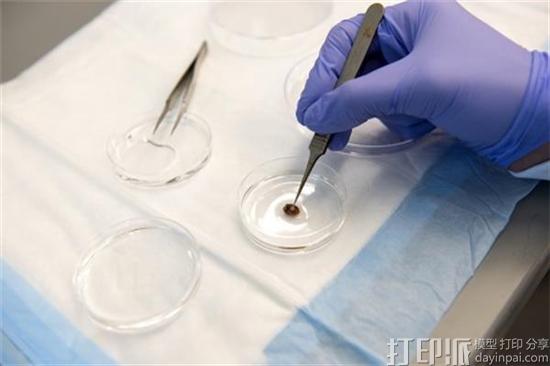 美国生物工程团队研制出能修复受损心脏组织的生物3D打印贴片