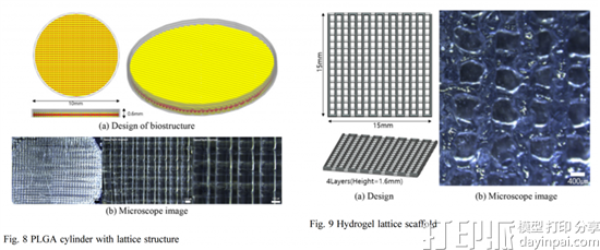 Experimental-results-demonstrating-a-PLGA-cylinder-and-hydrogel-lattice-scaffold.-Image-via--1024x428.png