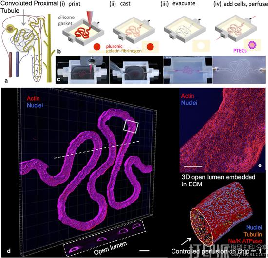 全球知名知识产权顾问John Hornick谈未来五年3D打印行业的发展方向 全球知名知识产权顾问John Hornick谈未来五年3D打印行业的发展方向