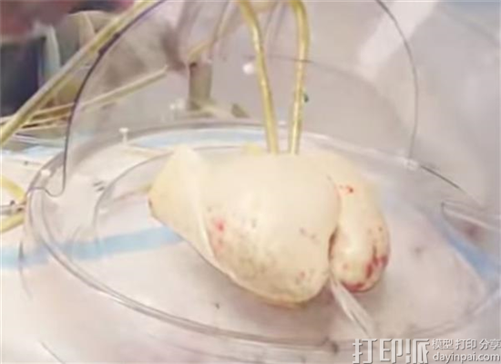 3D Systems与United Therapeutics开发用于人体移植的实体器官支架