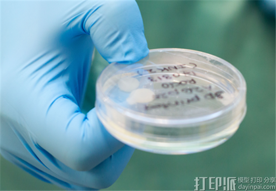 瑞典研究人员通过3D打印人体膝盖干细胞成功创建软骨组织