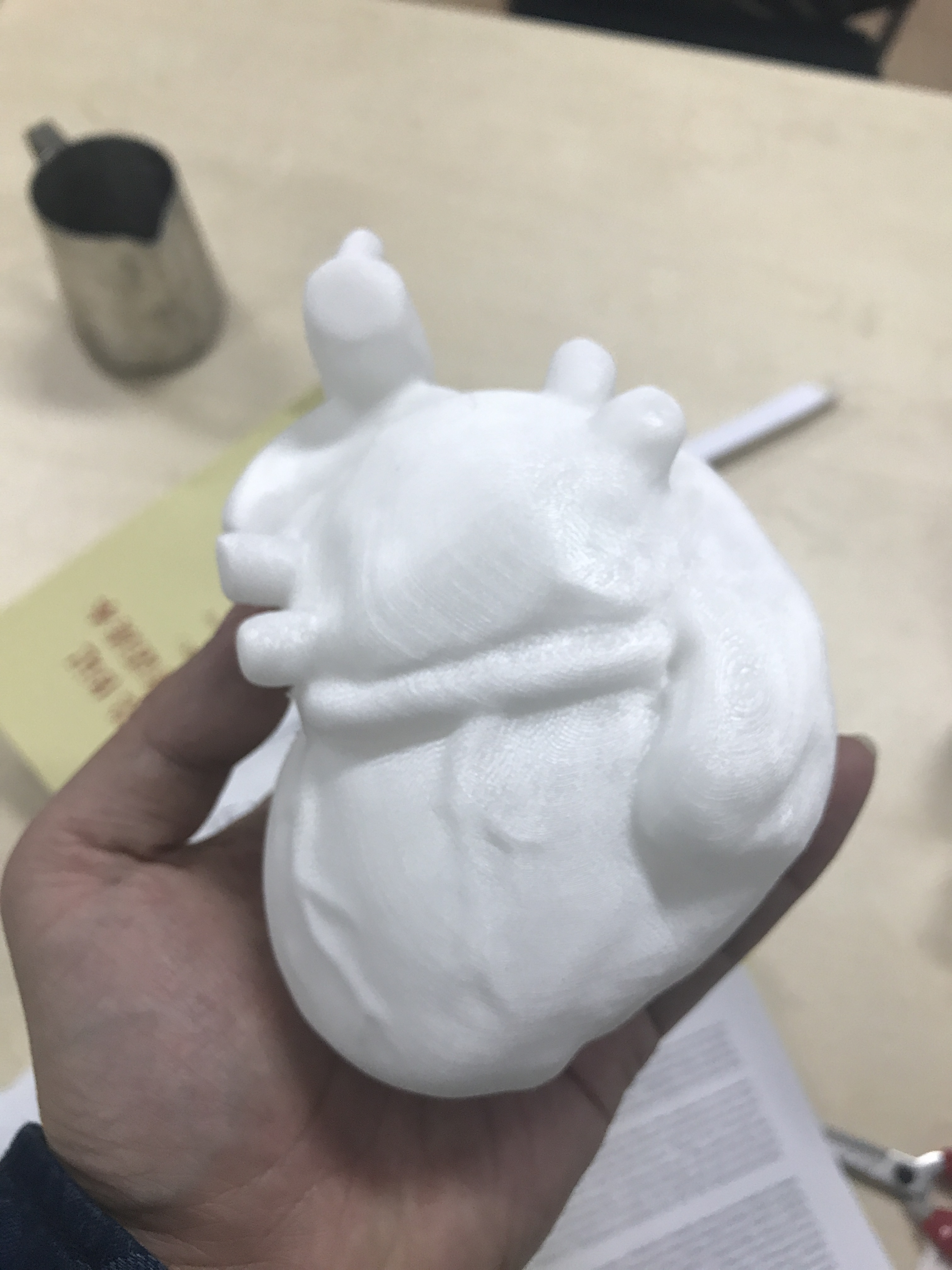 心脏
