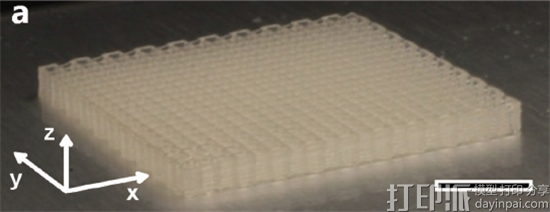 科学家用纤维素制成纳米晶体墨水 3D打印出性能似木材的结构