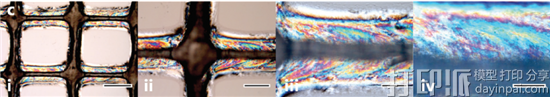 科学家用纤维素制成纳米晶体墨水 3D打印出性能似木材的结构