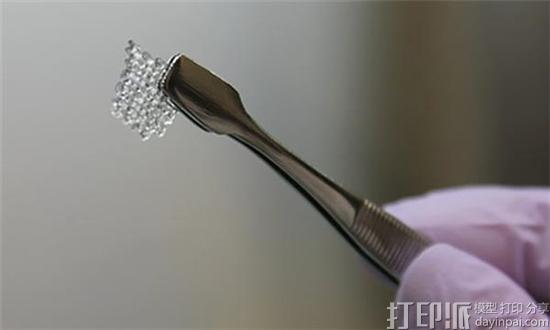生物3D打印新进展 科学家用3D打印卵巢帮老鼠成功产仔