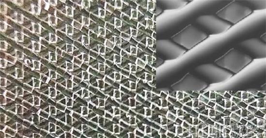 生物3D打印新进展 科学家用3D打印卵巢帮老鼠成功产仔