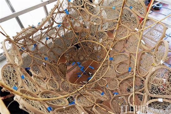 加州大学植物园展出3D打印巨型鸟巢  由木材和天然纤维制成