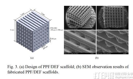 韩国大学用蓝光微立体光刻技术来3D打印骨细胞支架