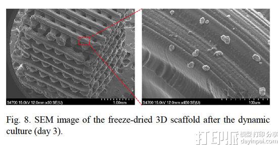 韩国大学用蓝光微立体光刻技术来3D打印骨细胞支架