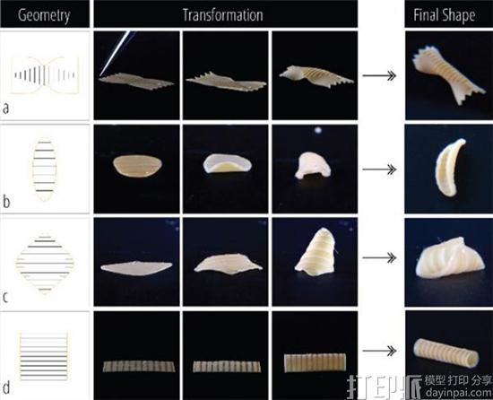 麻省理工学院科学家研制出可变形的3D打印意大利面