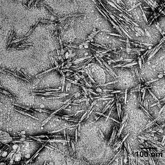 瑞士科学家开发出基于纤维素的新型环保3D打印墨水 可制造植入物和假体