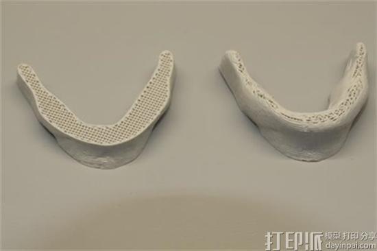 瑞士科学家开发出基于纤维素的新型环保3D打印墨水 可制造植入物和假体