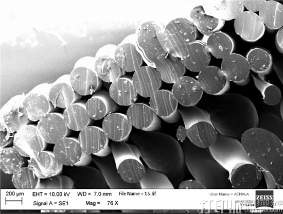 科学家利用FDM 3D打印TPU材料 制造出经济实惠的细胞支架