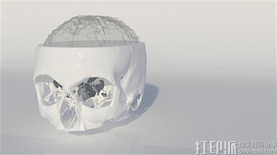 英国设计师用基于MRI扫描的3D打印头骨显示3D打印对医疗领域的影响